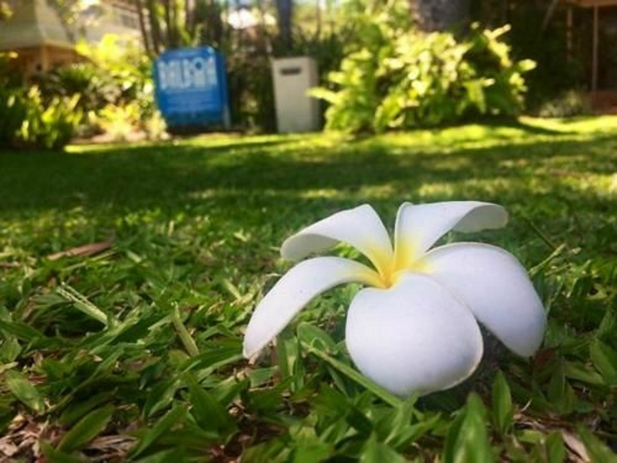 Balboa Apartments Port Douglas Exteriör bild
